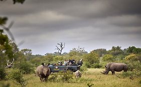 Motswari Private Game Reserve By Newmark